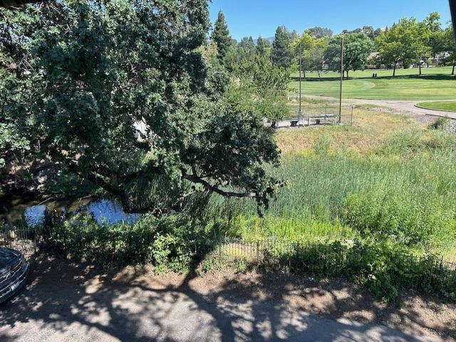 The creek running along the edge of the property
